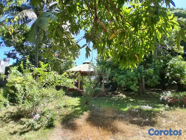 solares y terrenos - Solar de 2236 metros en Luperon Puerto Plata con mejora 6