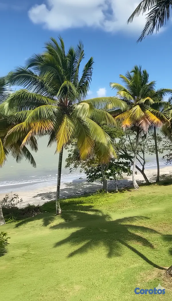 solares y terrenos - Solar de 26,793 m² en 1ra Línea de Playa - Miches 2
