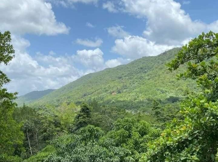 solares y terrenos - Gran Terreno en Venta en La Cuaba (CB-01)