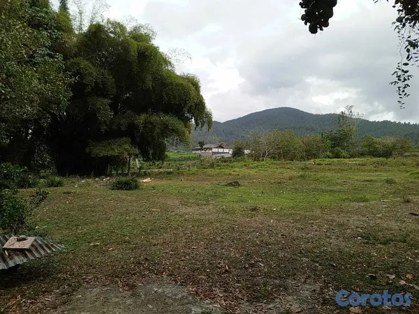 solares y terrenos - VENTA TERRENO CON RIO EN MANABAO, JARABACOA 6