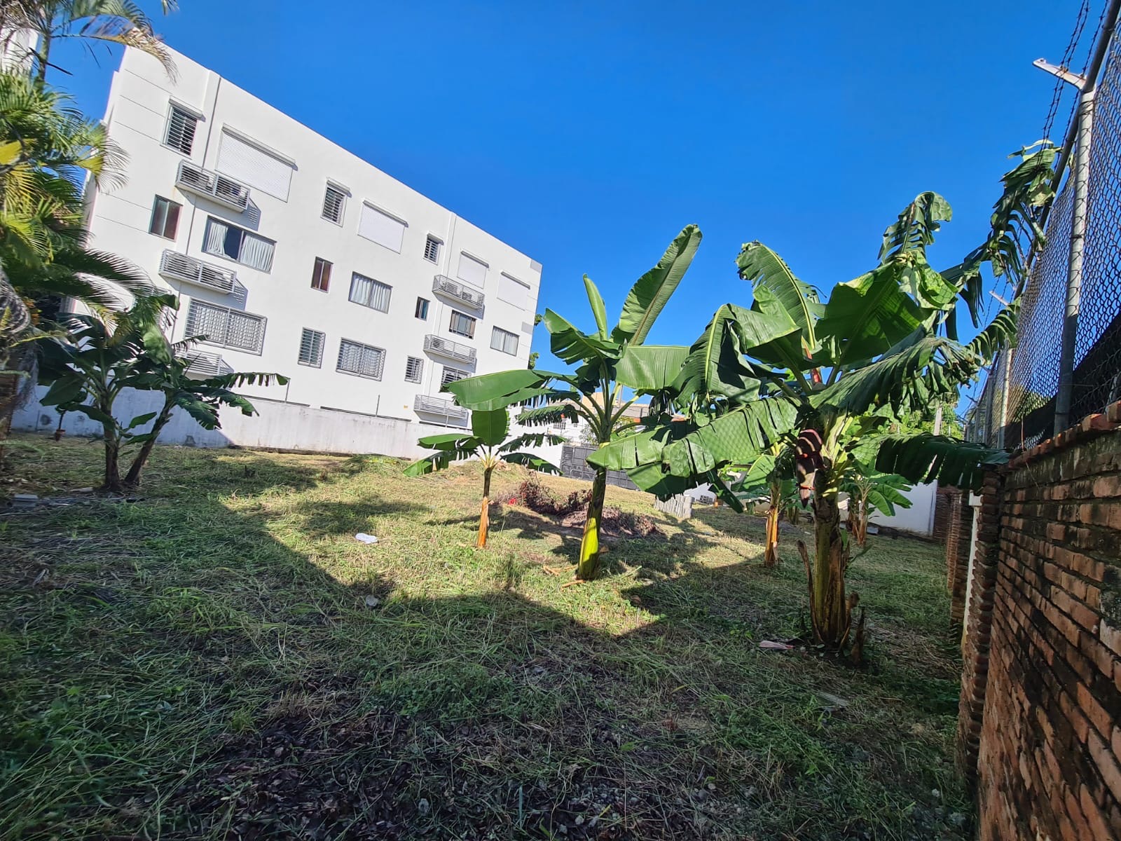 solares y terrenos - Vendo o alquilo solar en la castellana 521 metros  0