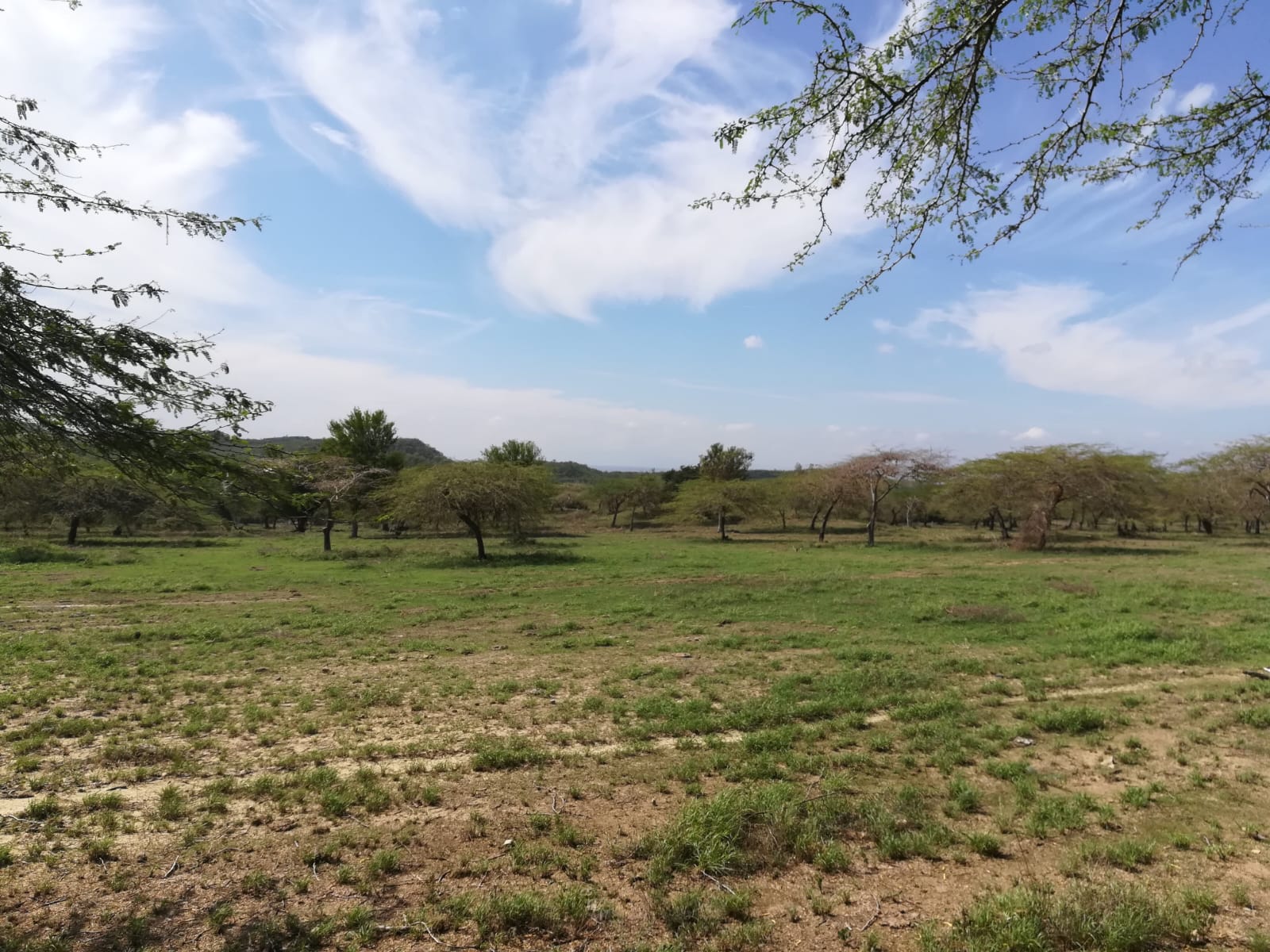 solares y terrenos - Terreno de 5,000 TAREAS en Guayubin, Montecristi, para Proyecto de Energía o Zon