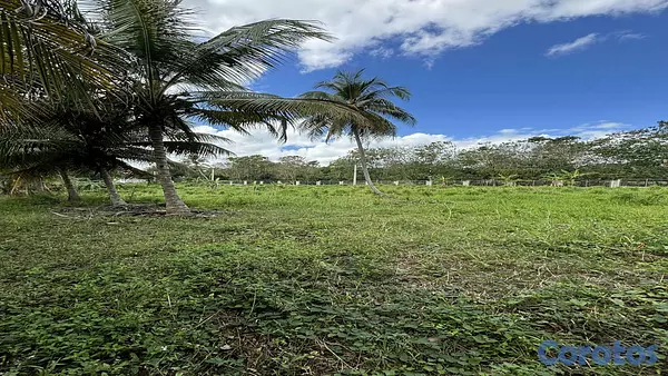 solares y terrenos - Terrenos Autopista Duarte 6