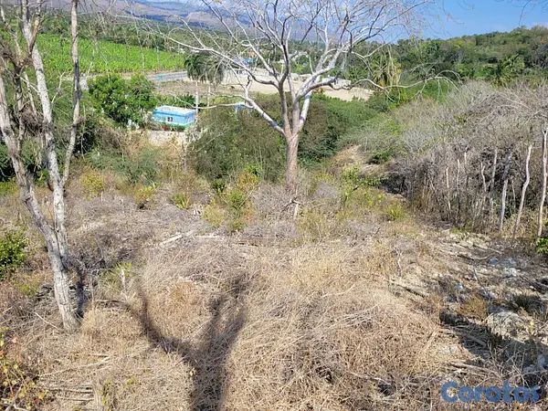 solares y terrenos - SOLAR EN MAGUEYAL ,AZUA CON TITULO 3