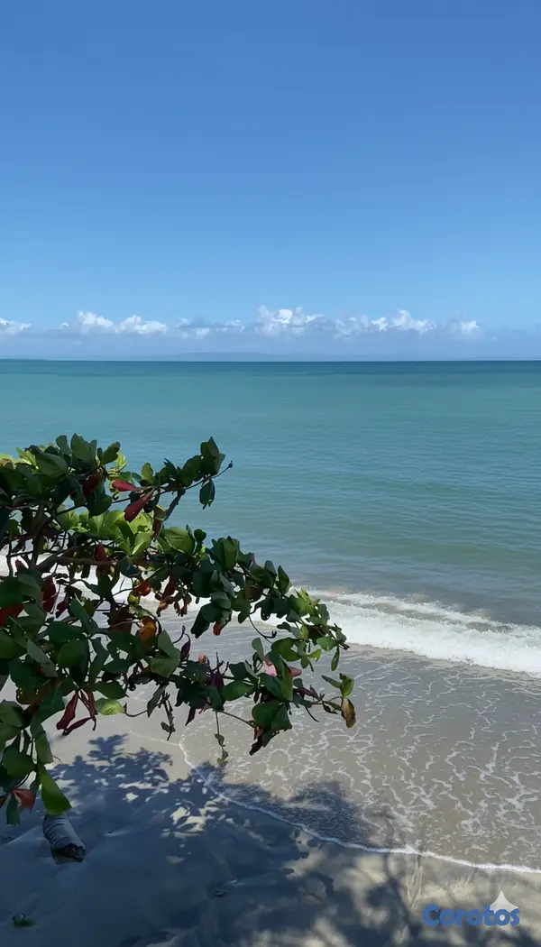 solares y terrenos - Solar de 26,793 m² en 1ra Línea de Playa - Miches 4
