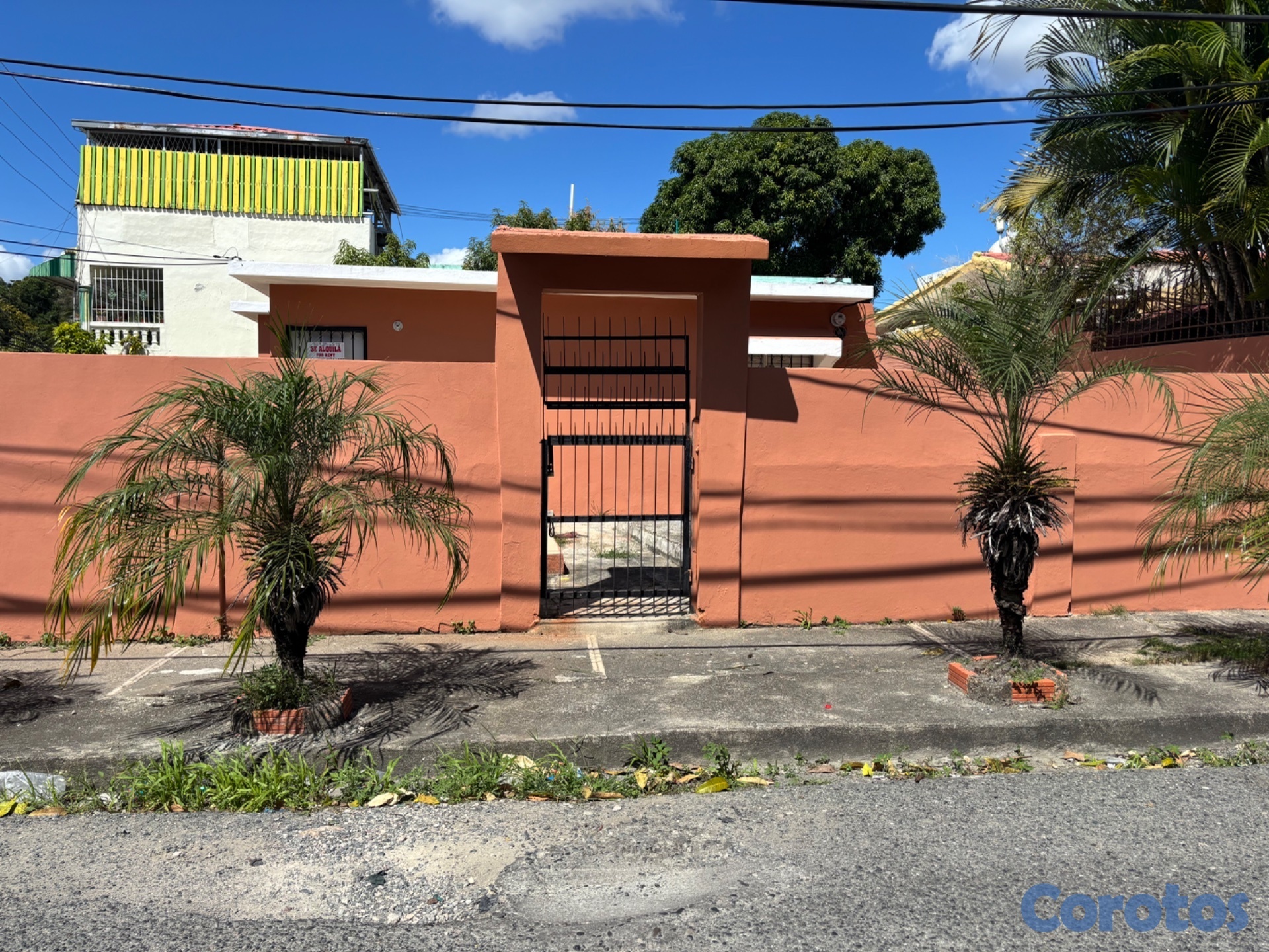 oficinas y locales comerciales - Local comercial de alquiler 3