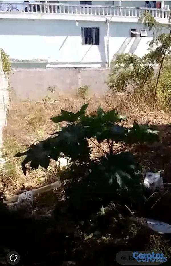 solares y terrenos - Se vende este solar de 352.99  metros en Brisa Oriental 🏙️ Santo Domingo Este.
 7