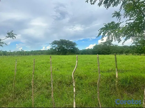 solares y terrenos - En Venta Finca Ganadera en Monte Plata el Hatillo Calle Asfaltada 4