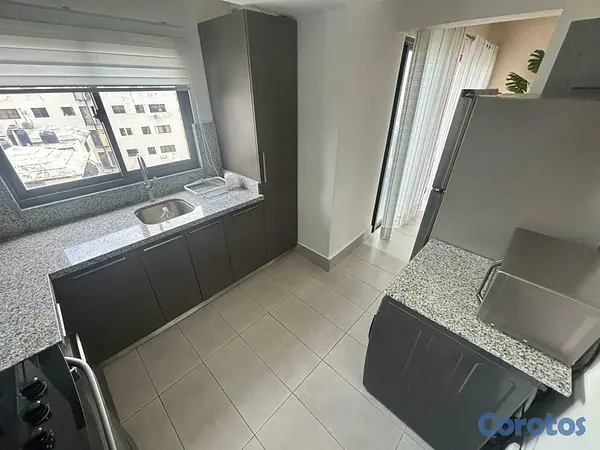 apartamentos - Apartamento Amueblado en Alquiler en Piantini 6