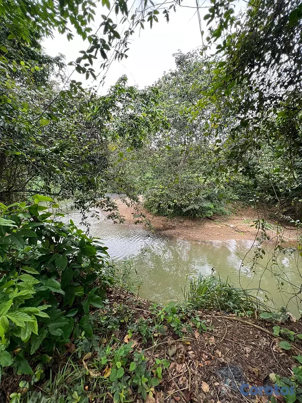 solares y terrenos - FINCA PARA DESARROLLO Y GANADERIA DE ALTO VALOR PR 10