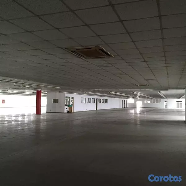oficinas y locales comerciales - Gran nave Industrial Zona Franca San isidro  3