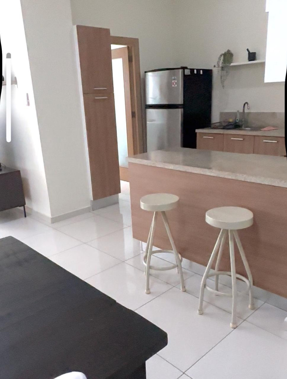 apartamentos - Apartamento en Alquiler Amueblado en EVARISTO M. 1