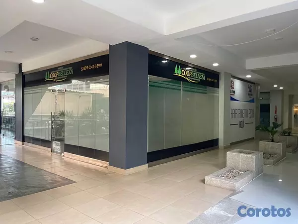 oficinas y locales comerciales - Alquilo Local Comercial en Santiago, Céntrico  3