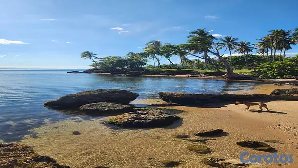 solares y terrenos - En Venta Solar en Sanchez Samana Frente a la Costa 8
