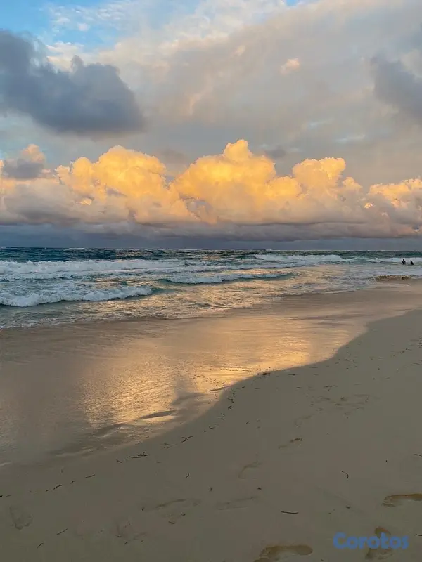 apartamentos - apartamento en la playa punta cana  2