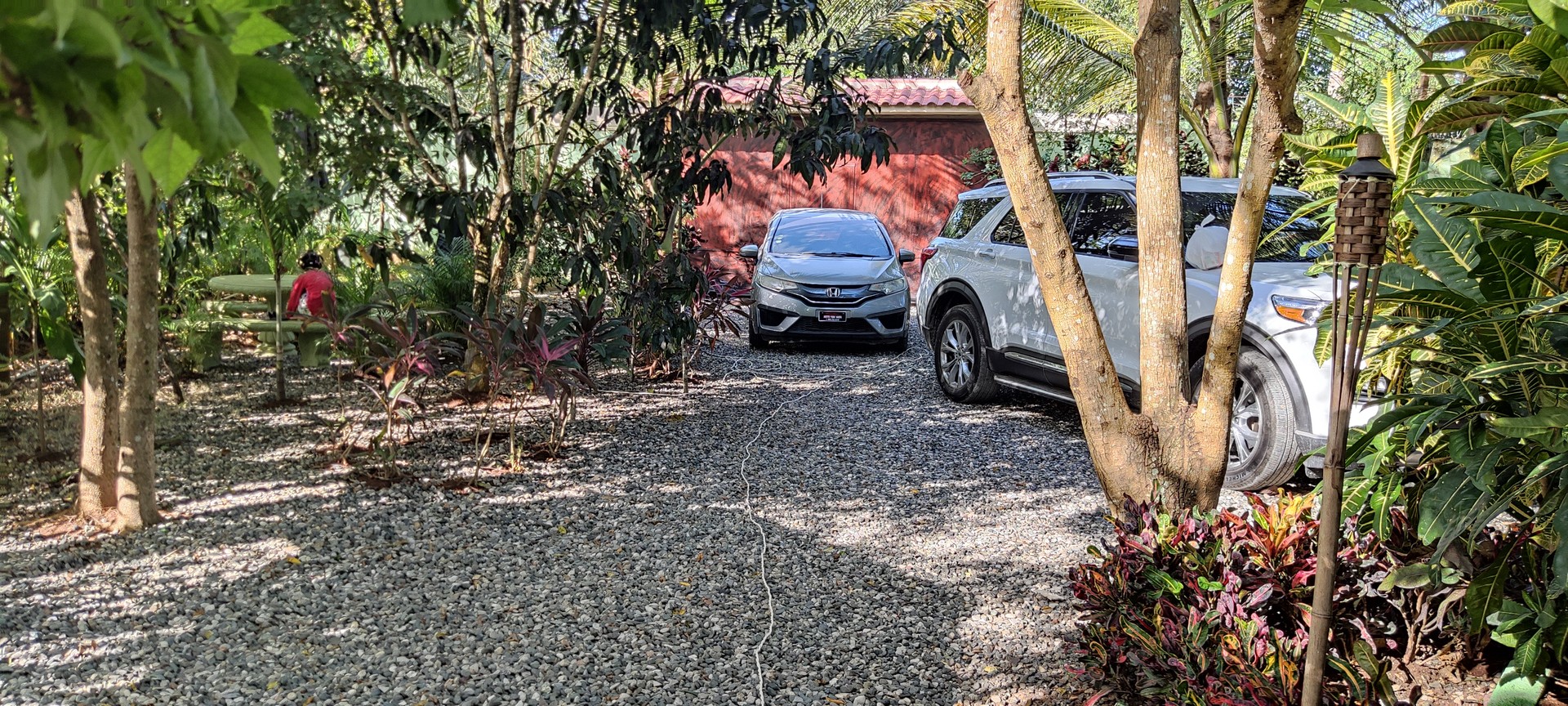 solares y terrenos -  Finca Amueblada, Tu Oportunidad de Negocio, La Oportunidad que Esperaba 6