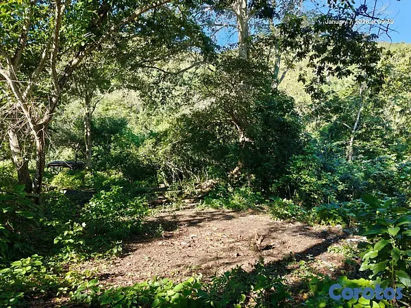 solares y terrenos - Oportunidad: Finca Con Boca De Río. Buena Para Cos 4