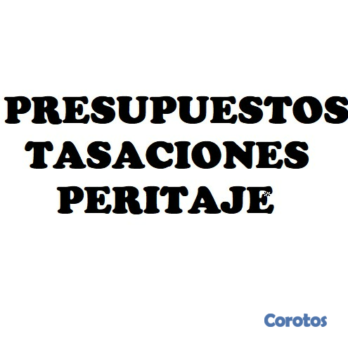 servicios profesionales - Tasacion, presupuestos e informes de peritaje