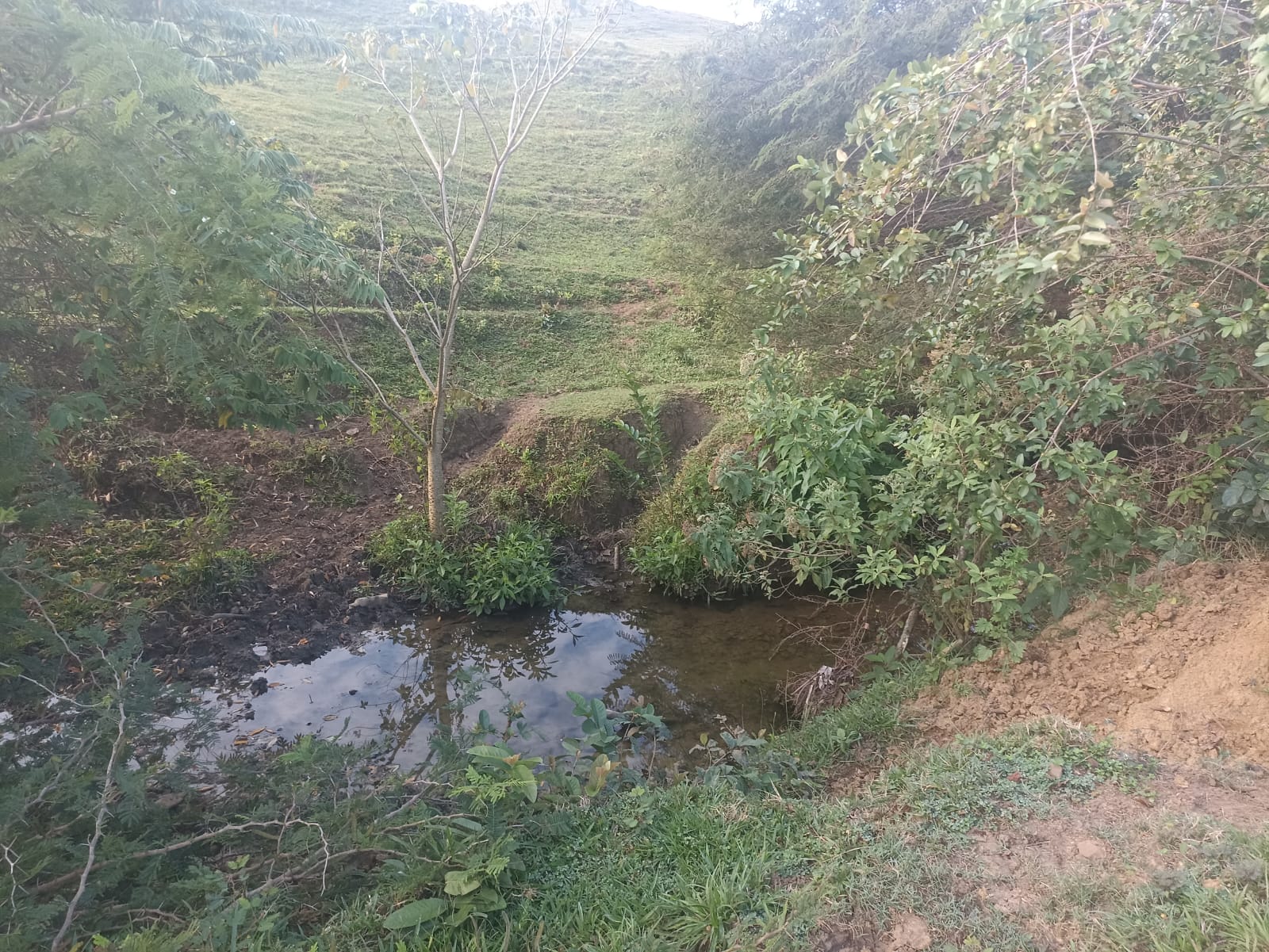 solares y terrenos - Finca Ganadera Oportunidad a 45 Minutos de ciudad 6