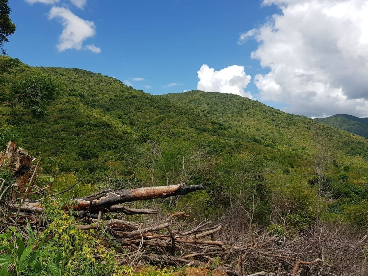solares y terrenos - Terreno en Venta en Vacacional Matua 0