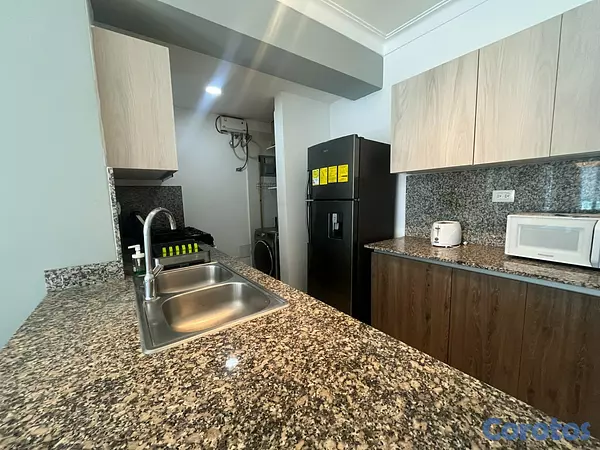 apartamentos - Apartamento Alquiler Naco Amueblado UNA Habitación 11
