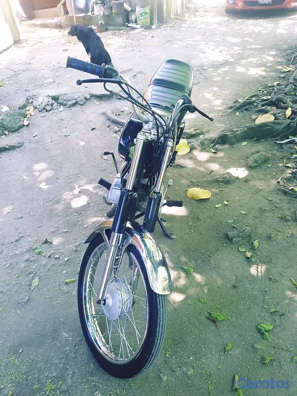 motores y pasolas - ax100suzuki 4