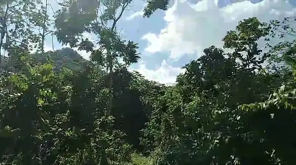 solares y terrenos - Terreno en La Cumbre, Bonao, ideal para villa/hote 3