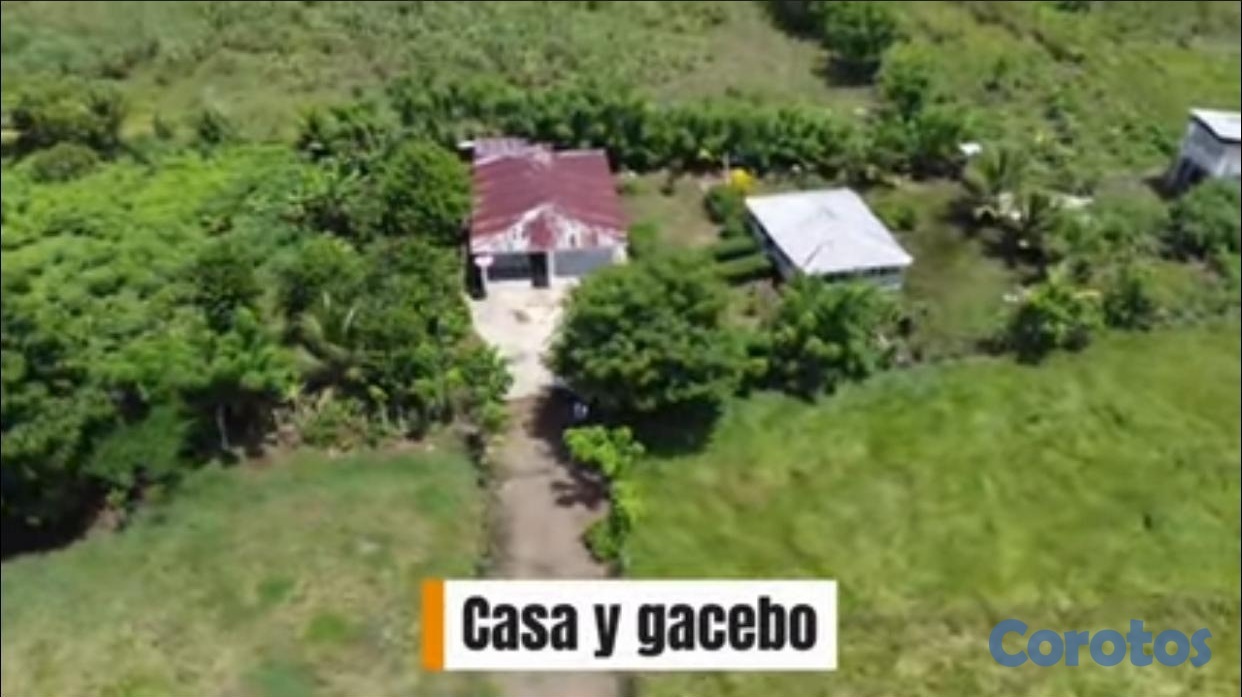 solares y terrenos -  Finca Ganadera y Agrícola,  de 500 Tareas en Don  5