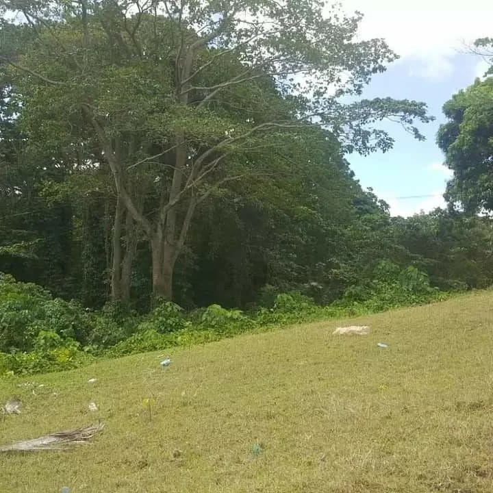 solares y terrenos - Sin Intermediarios Venta de Terreno en San Felipe Villa Mella 2