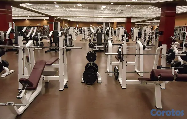 equipos profesionales - ventas de equipos de gym completo 6