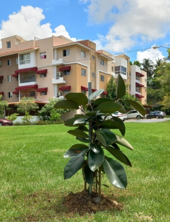 apartamentos - DIOS📍Colinas del Oeste 🔥Vendo de Oportunidad  1