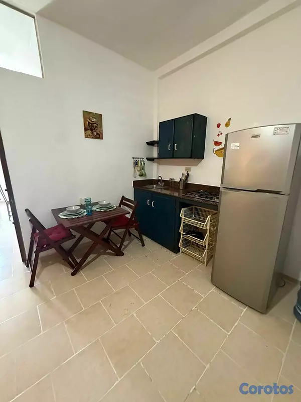 apartamentos - Alquiler Apartamento de 1 Habitación, Zona Colonia 6