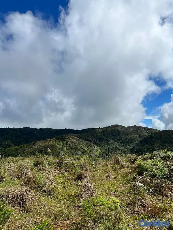 solares y terrenos - Finca en Constanza de 2795 tareas  8