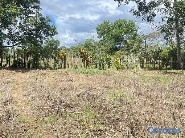 solares y terrenos - Oportunidad: Terreno 3,323 m² con Título en Don Juan, Monte Plata 5