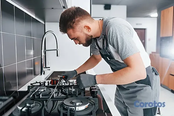servicios profesionales - Expertos en Estufas a Domicilio 3