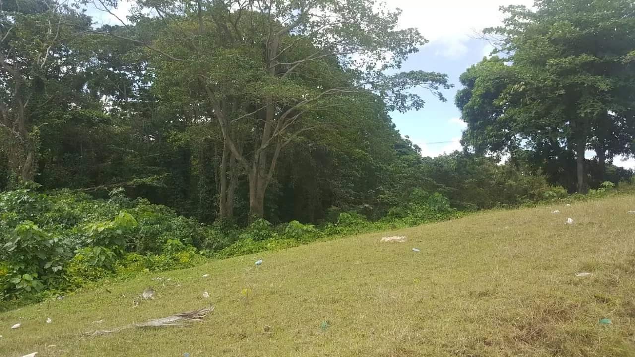 solares y terrenos - Sin Intermediarios Venta de Terreno en San Felipe Villa Mella 0