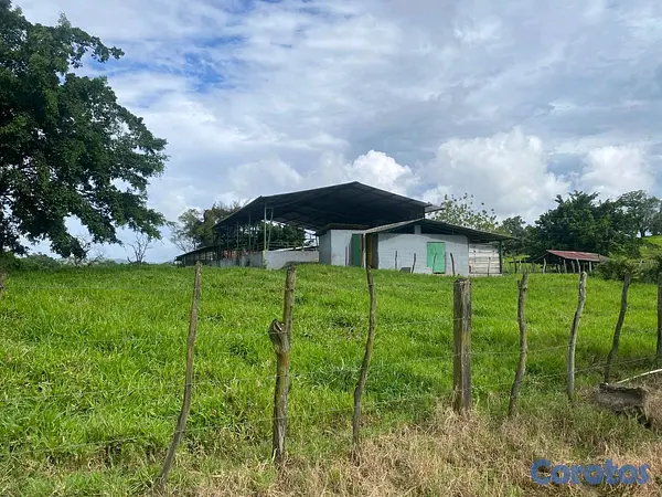 solares y terrenos - finca de 3600 tareas llanas de ganadería en cotui  4