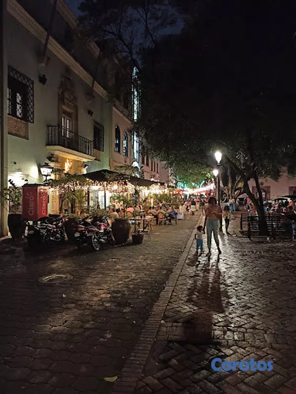 otros inmuebles - Edificio Zona Colonial retorno anual 114mil dolare 9