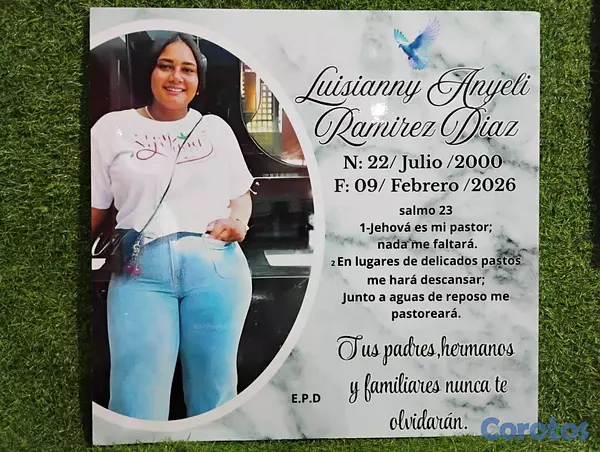 servicios profesionales - LAPIDAS MENDEZ, LA MEJOR CALIDAD 2