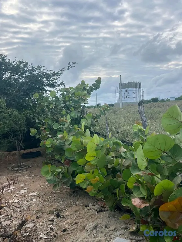 casas - mejora en montecristi  7