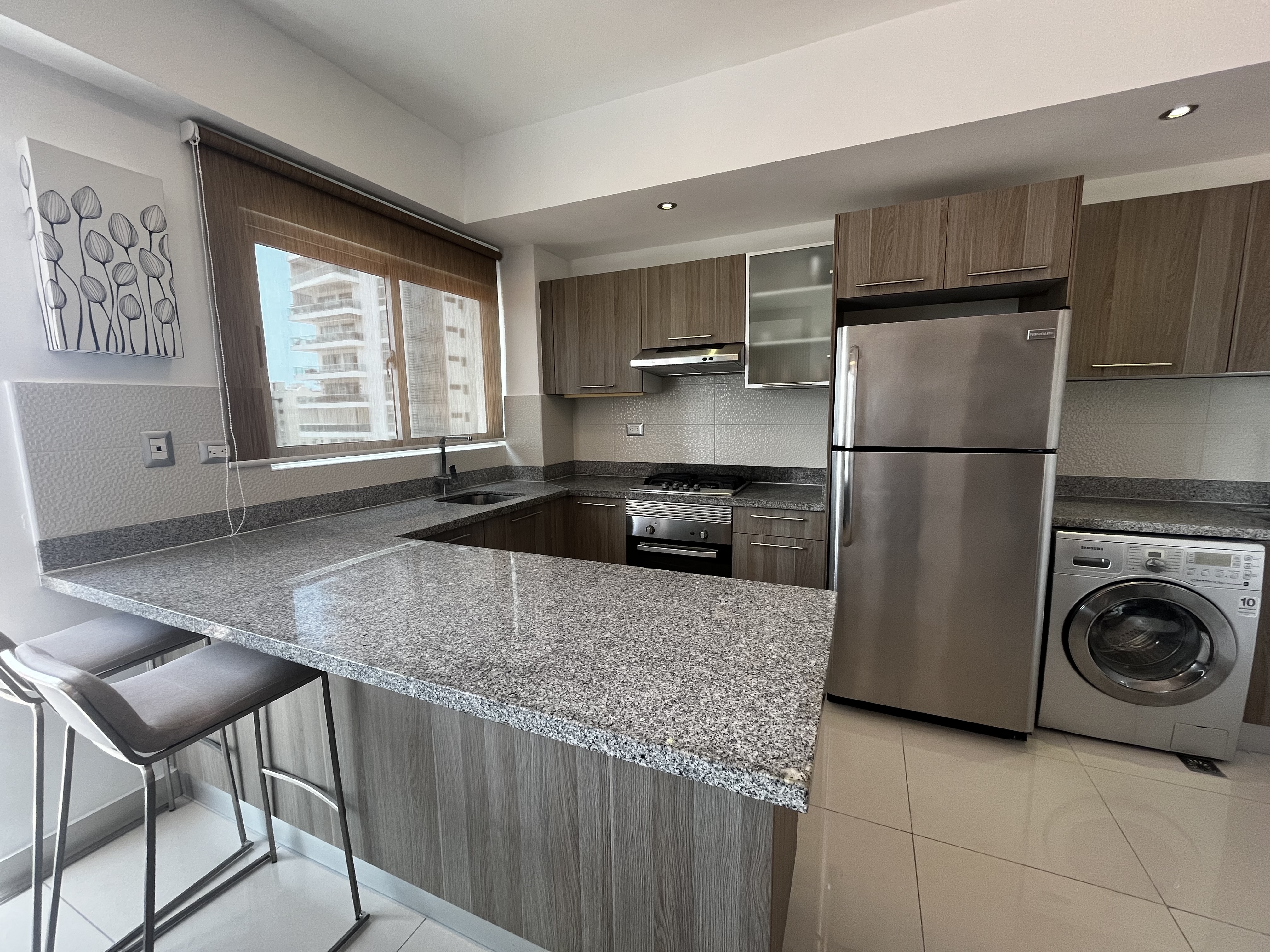 apartamentos - Apartamento Alquiler en Piantini de UNA Habitación 6