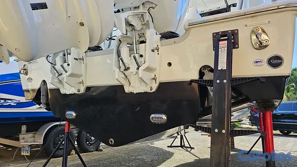 botes - título de florida con su matrícula de navegar en RD 13