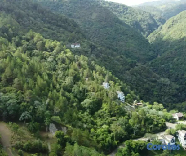 solares y terrenos - Terreno en Venta en Jarabacoa 5