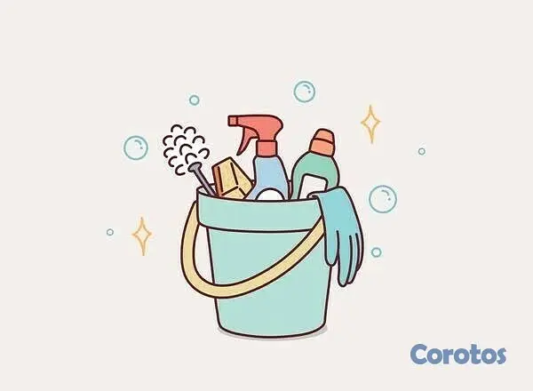 servicios profesionales - Se limpian casas 🧹 2