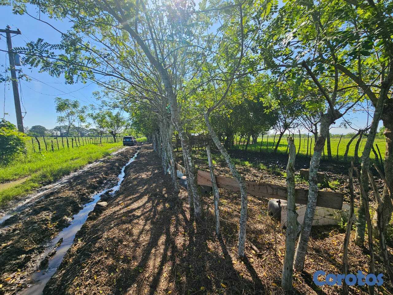 solares y terrenos - Finca en venta en San Francisco de Macorís Macoris 9