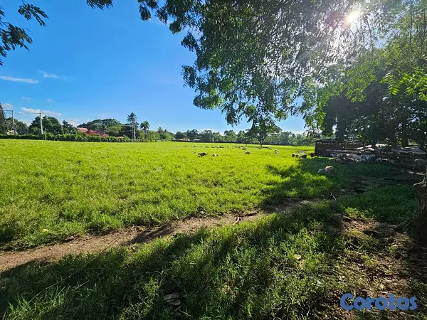 solares y terrenos - Solar de 168620m2 San Francisco de macoris 5
