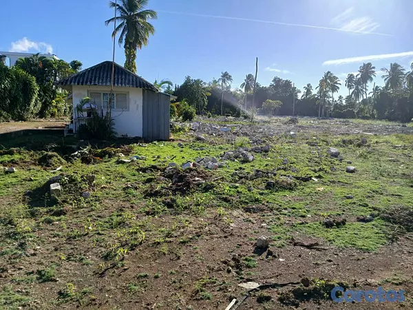 solares y terrenos - Joya Frente al Mar en Las Terrenas | 17,500 m² con 2
