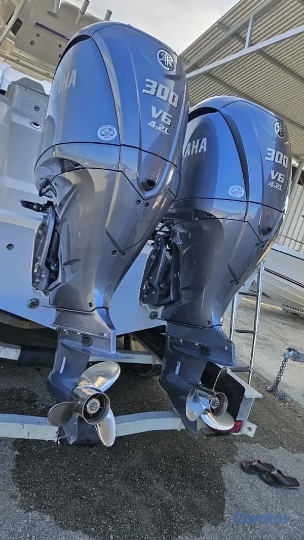 botes - título de florida con su matrícula de navegar en RD 3