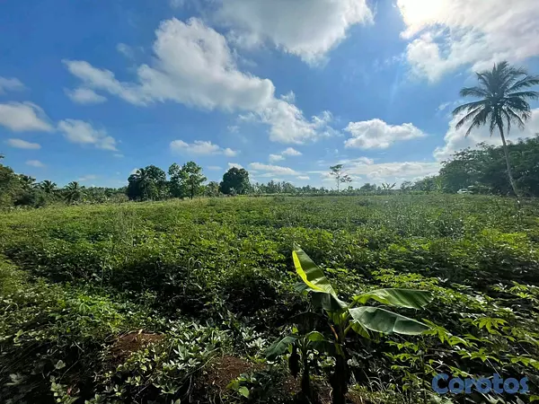otros inmuebles - finca de 42 tareas en monte plata  2