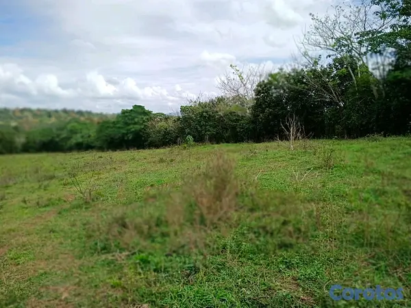 solares y terrenos - finca de 100 tareas con vocación agrícola y ganadera en yamasa  11